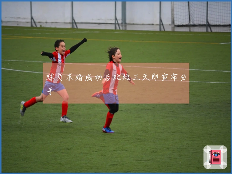 球员求婚成功后短短三天即宣布分手
